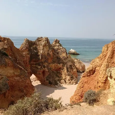 Apartment Rocha House